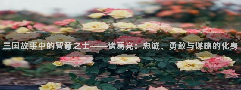 虫虫色漫：三国故事中的智慧之士——诸葛亮：忠诚、勇敢与谋略的化身
