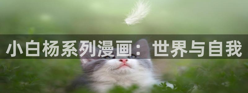 虫虫漫画怎么免费看全集：小白杨系列漫画：世界与自我