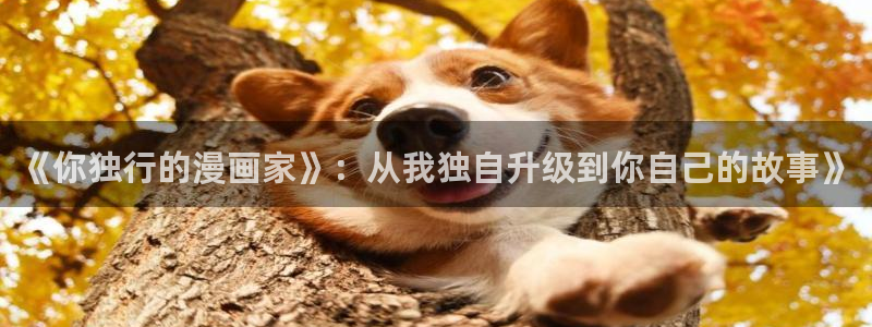 虫虫韩漫网站：《你独行的漫画家》：从我独自升级到你自己的故事》