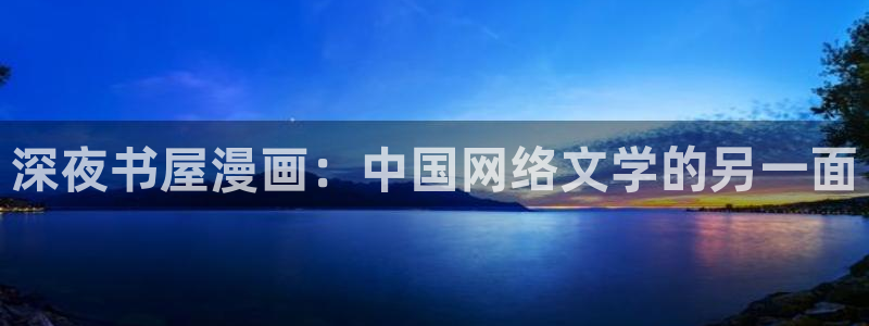 虫虫漫画在线页面漫画观看免费：深夜书屋漫画：中国网络文学的另一面