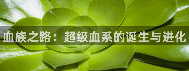 http://www.虫虫漫画.com/：血族之路：超级血系的诞生与进化