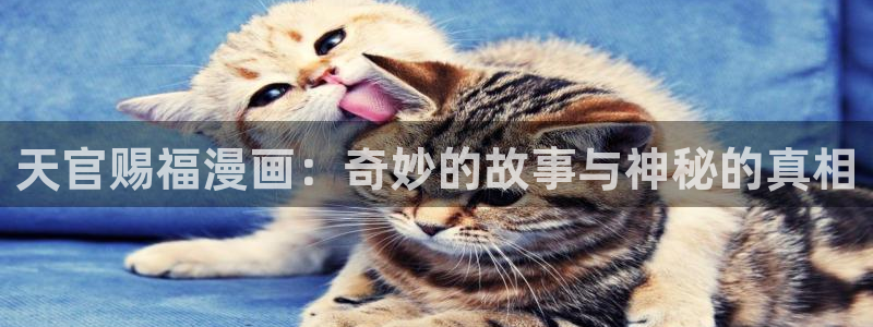 虫虫漫画网页版入口：天官赐福漫画：奇妙的故事与神秘的真相