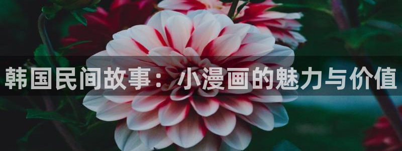 虫虫漫画排行：韩国民间故事：小漫画的魅力与价值