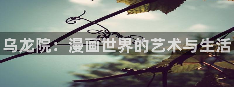 虫虫说漫：乌龙院：漫画世界的艺术与生活