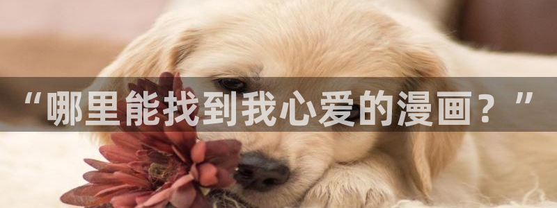 虫虫漫画入口：“哪里能找到我心爱的漫画？”