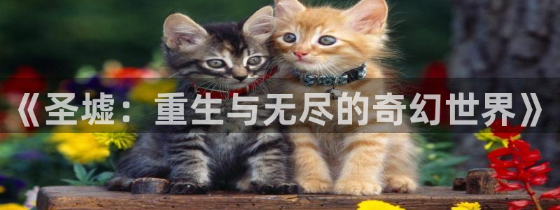 韩国虫虫漫画