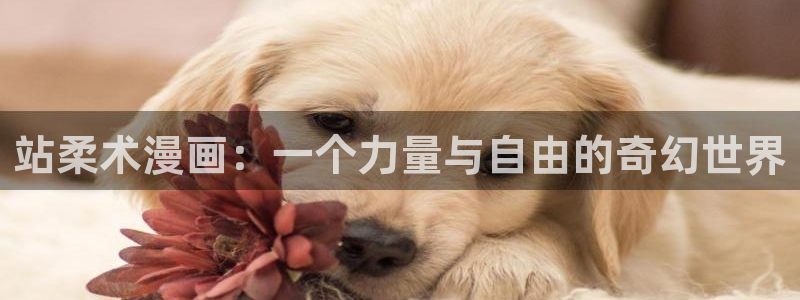 虫虫漫画免费漫画页面在线看漫画弹窗：站柔术漫画：一个力量与自由的奇幻世界
