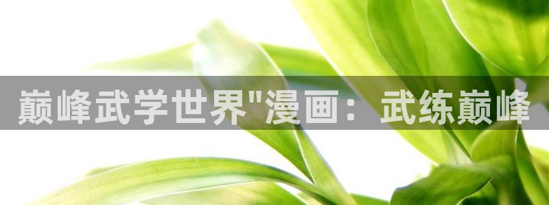 虫虫漫画大全免费阅读：巅峰武学世界\