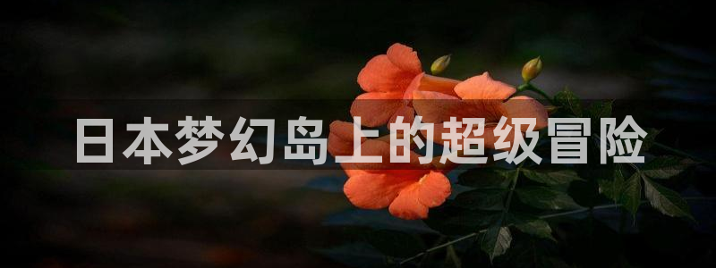 虫虫漫画免费首页入口：日本梦幻岛上的超级冒险