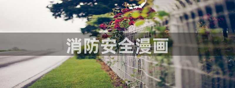 虫虫漫画网：消防安全漫画