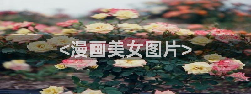 阿罗拉之夜虫虫漫画：<漫画美女图片>