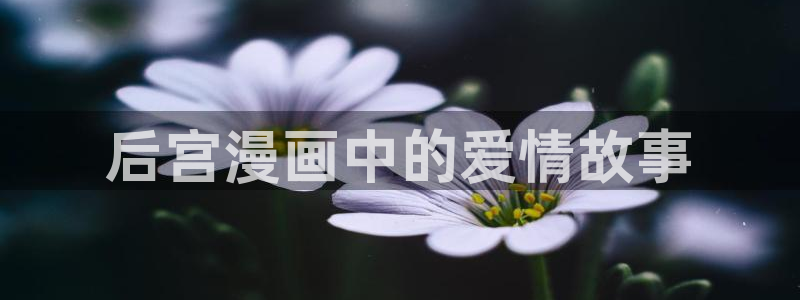 虫虫漫画免费入口怎么进：后宫漫画中的爱情故事