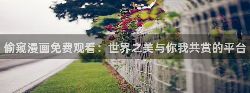 虫虫在线漫画：偷窥漫画免费观看：世界之美与你我共赏的平台