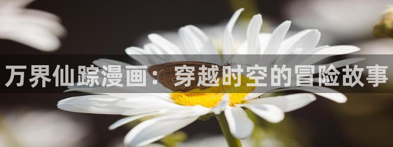 漫画虫虫漫画严选漫画