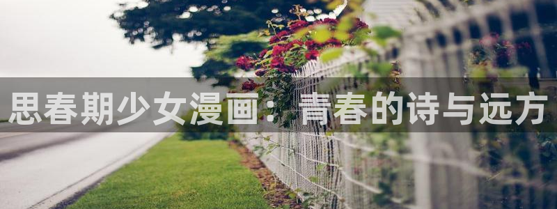 虫虫漫画网官网