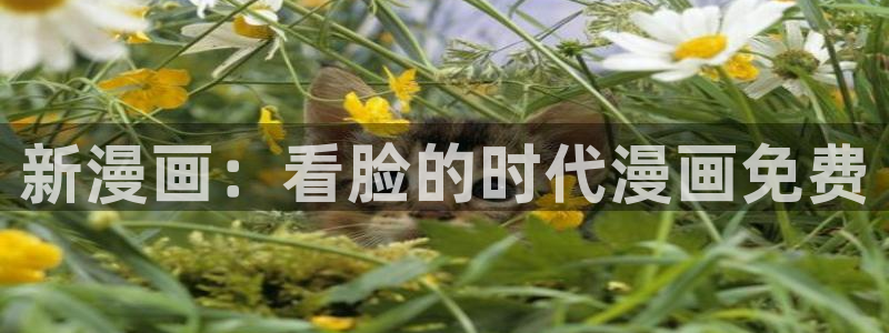 虫虫漫画免费漫画页面