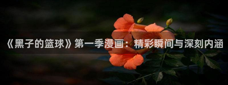 虫虫漫画免费漫画入口页面在线