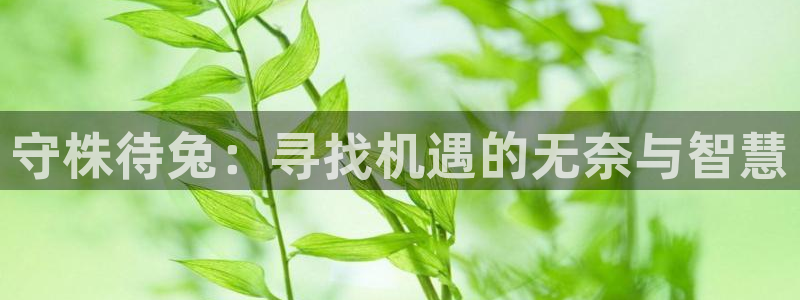 虫虫漫画平台
