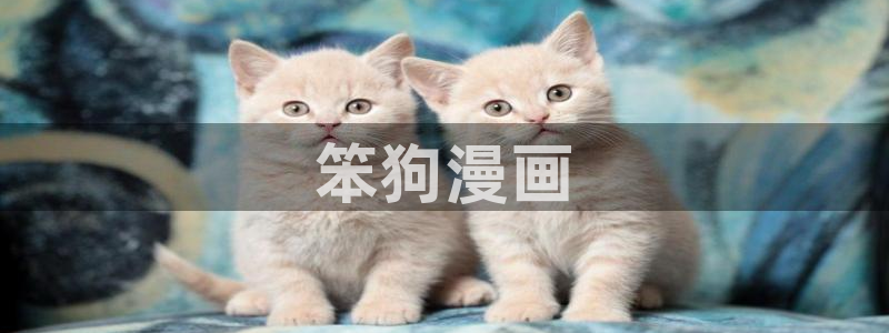 虫虫漫画登录页面免费漫画看漫画